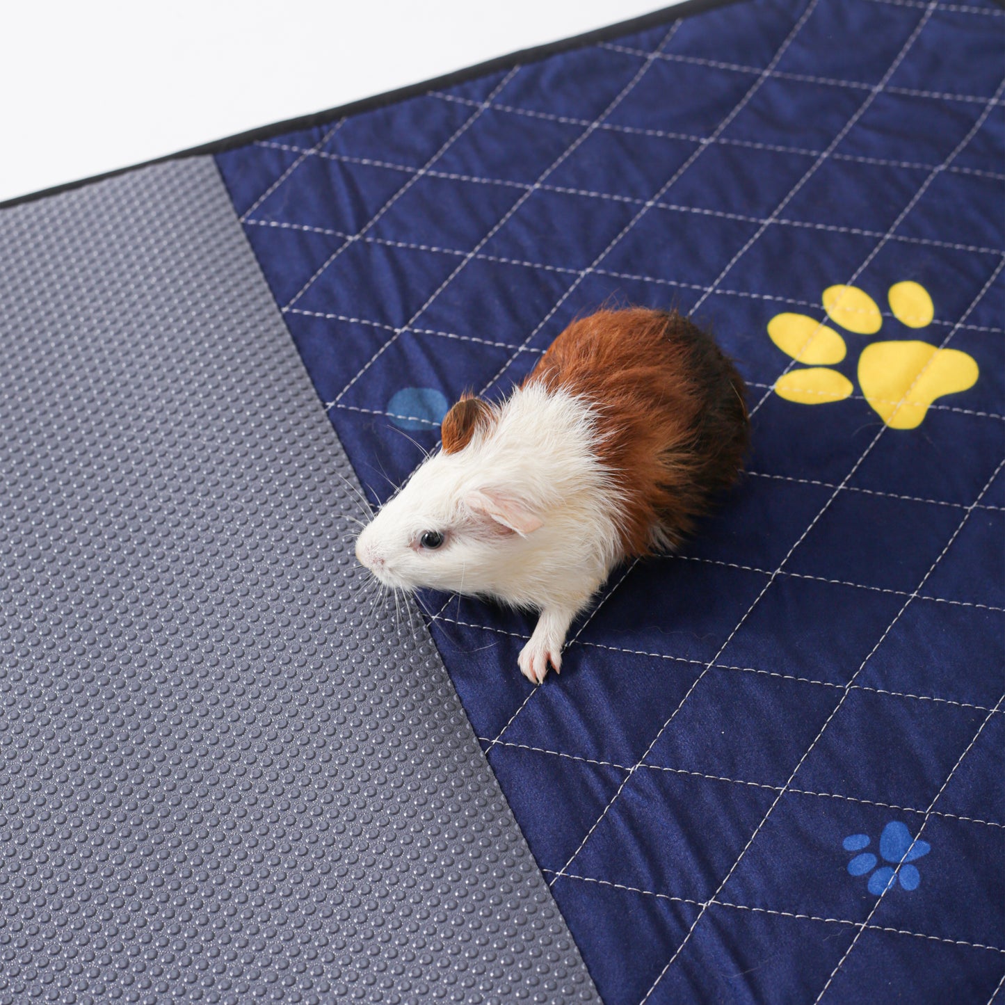 Complete Cage Bedding System: Fast Dry Liner + EVA Base for Midwest & C&C Cages