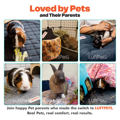 A promotional collage for LUFTPETS showing several pets and their owners on a dark quilted blanket, with the headline 'Loved by Pets' at the top and marketing text at the bottom. The panels include a guinea pig eating, a guinea pig in a small cage, a person holding a black-and-white kitten, a guinea pig on a mat, a rabbit eating, and a guinea pig under a pink blanket.
