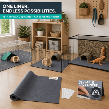 EVA cage liner set with guinea pigs, rabbits, and a lizard in their enclosures on a wooden floor.