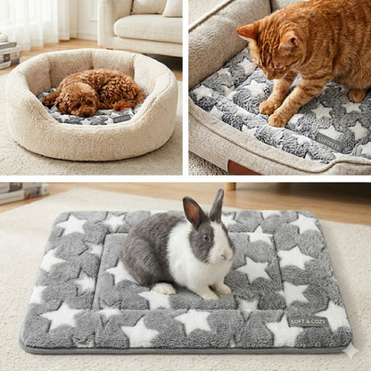 cat, dog and rabbit sitting on a blanket