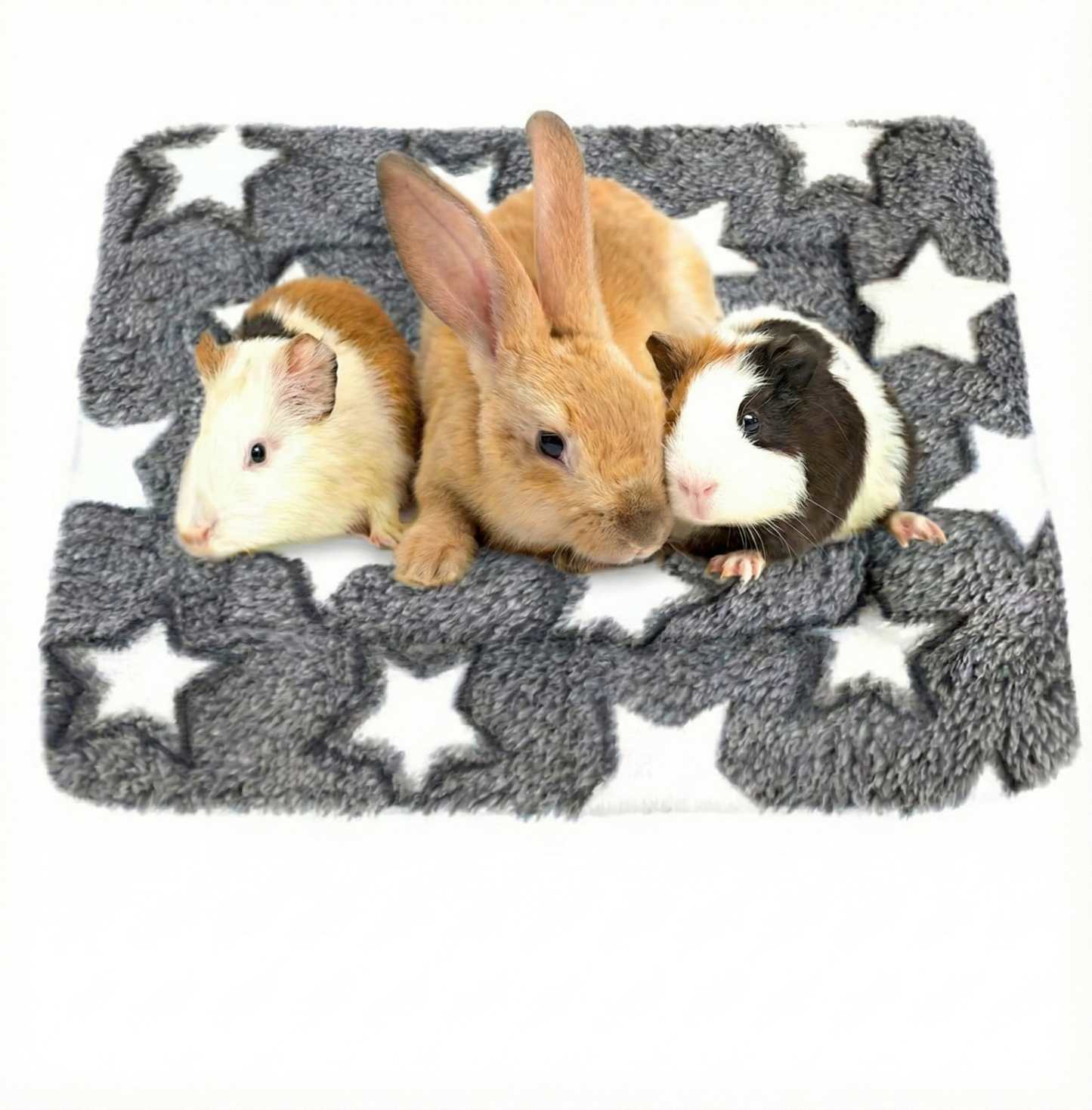 Ultra-Soft Star Fleece Blanket & Cage Liner for Guinea Pigs & Rabbits
