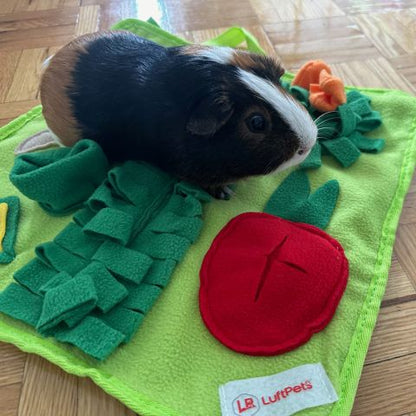 Rabbit Foraging Mat: Interactive Veggie Patch &  Snuffle Mat for Bunnies & Guinea Pigs