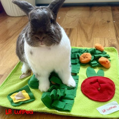 Puppy Snuffle Mat for Dogs: Green Garden Interactive Foraging Mat with Hiding Places for Mental Stimulation