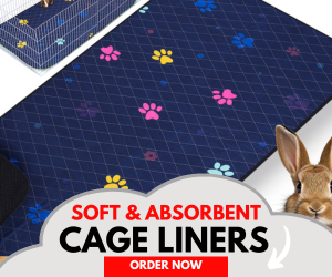 rabbit next luftpets midwest guinea pig cage lienr