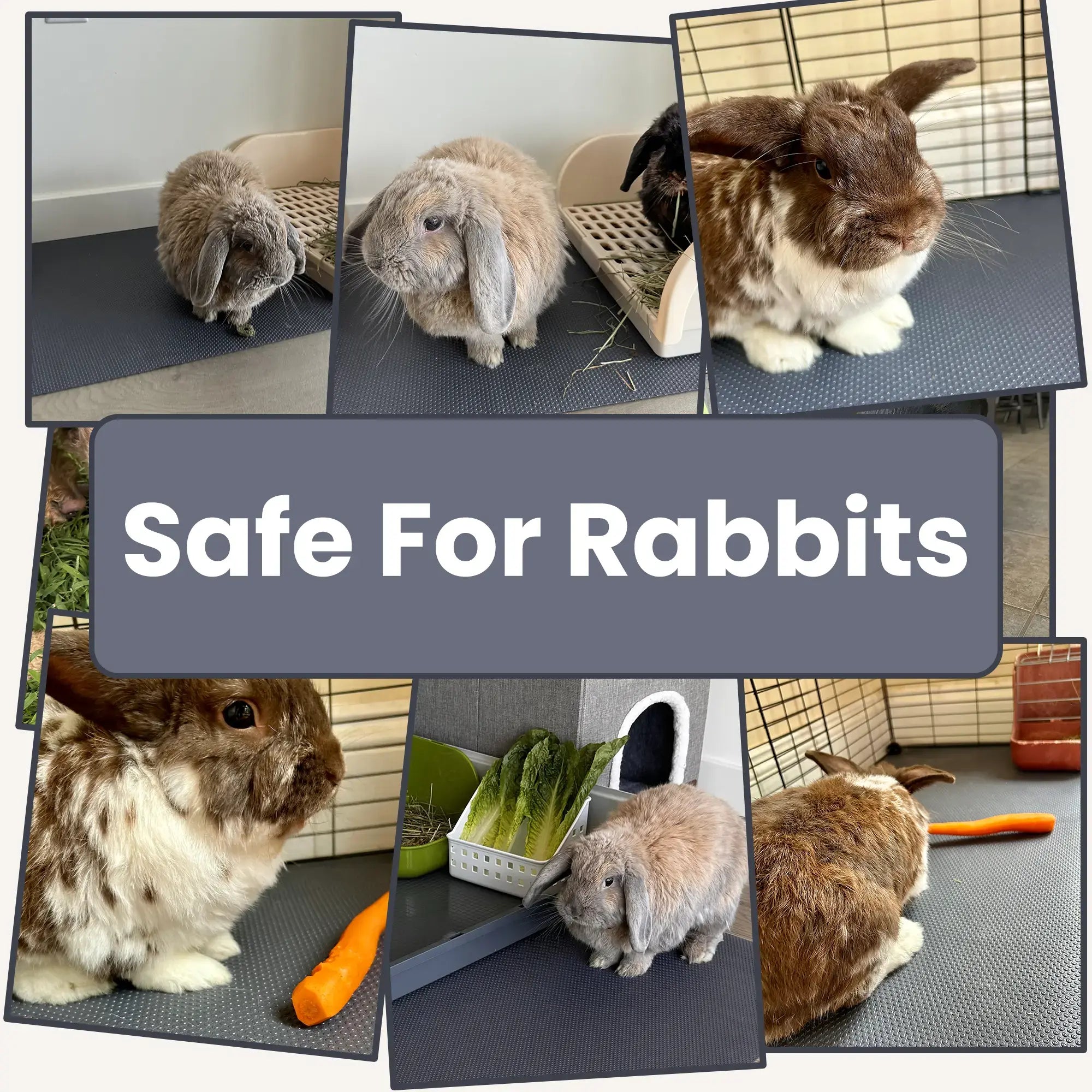 Versatile EVA Cage Liner – Rabbit, Guinea Pig & Reptile Mat, Easily Cut , 18
