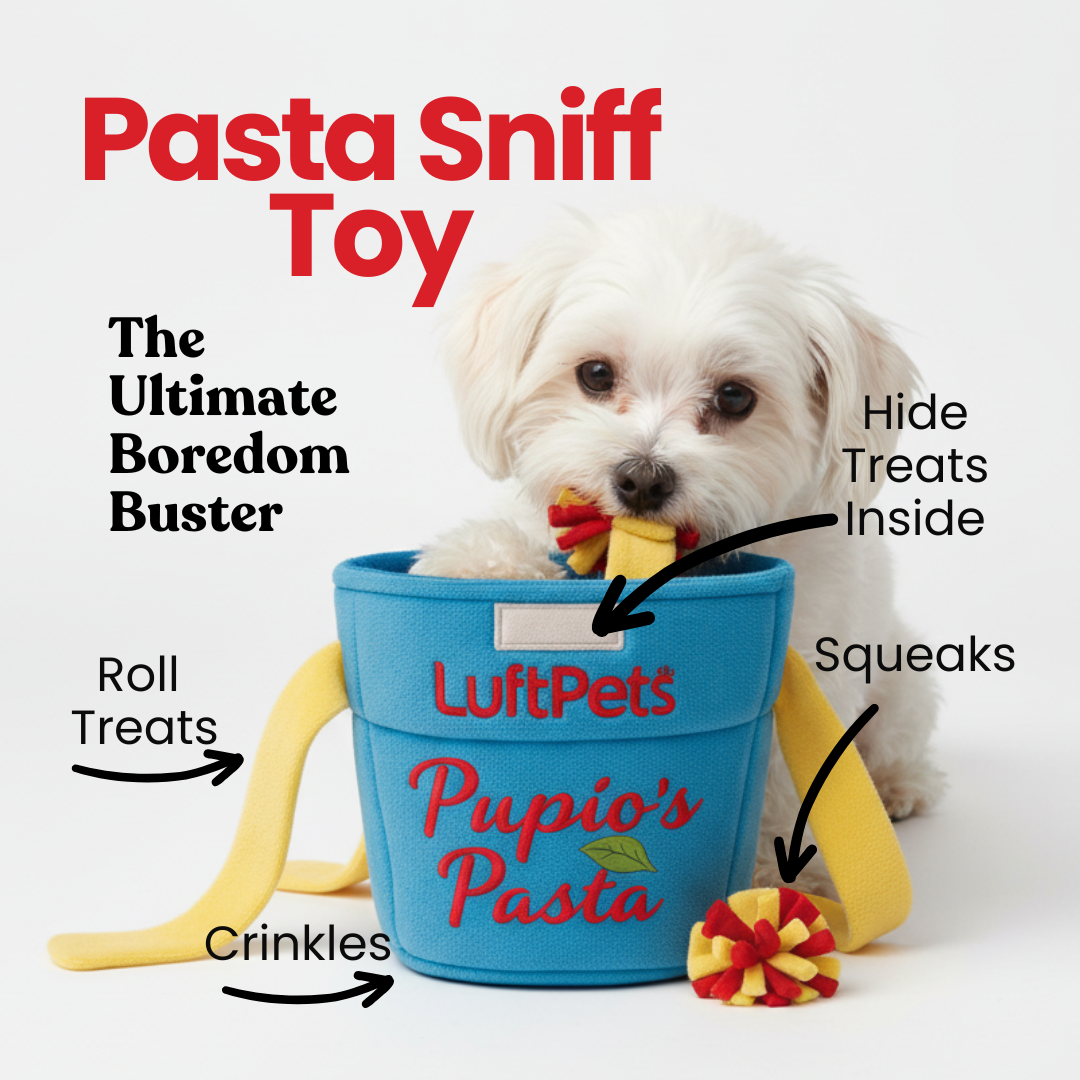 Pasta Sniff Toy for dogs with a blue container and text highlighting features