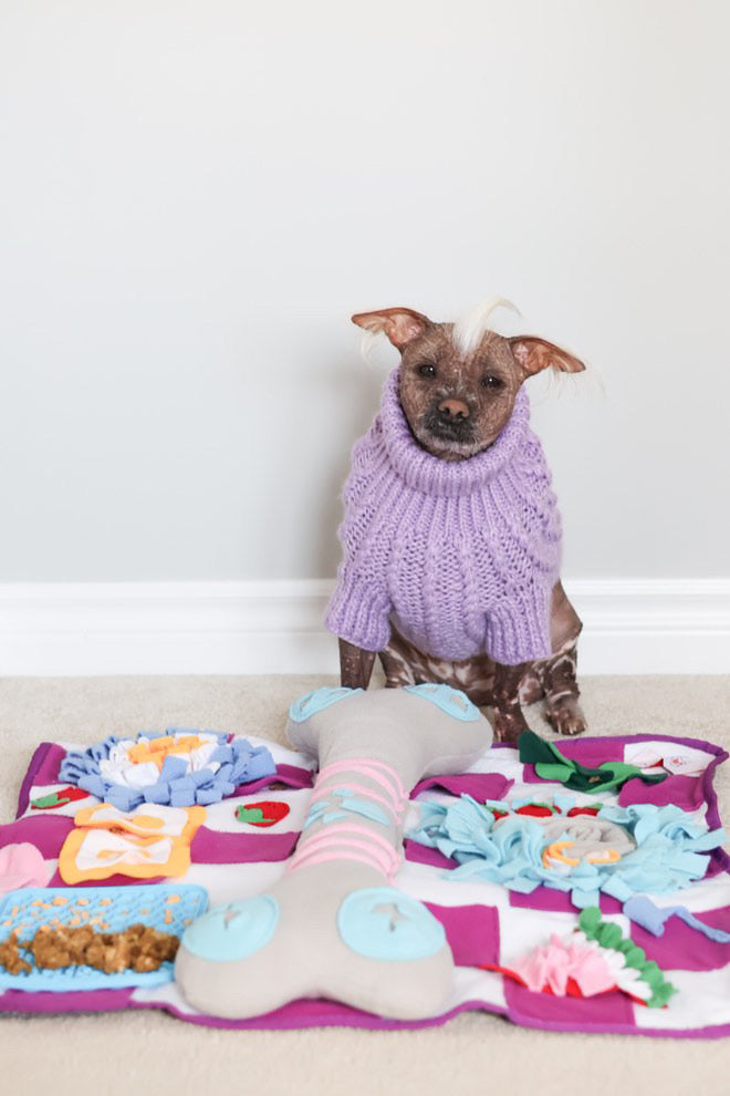 Squeaky Bone Snuffle Mat for Dogs – Interactive Foraging Fun, 24"
