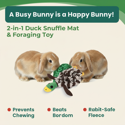 A Busy Bunny is a Happy Bunny