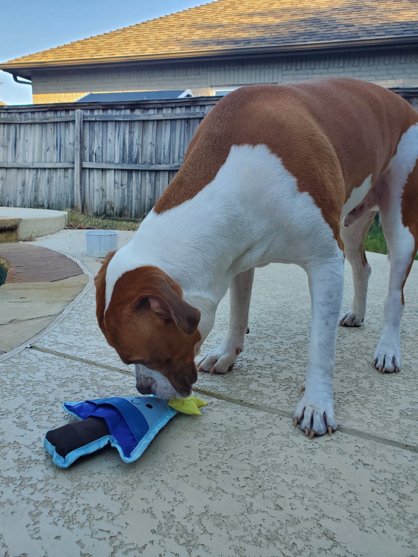 Festive Christmas Tree Snuffle Toy for Dogs – Fun, Engaging, and Durable