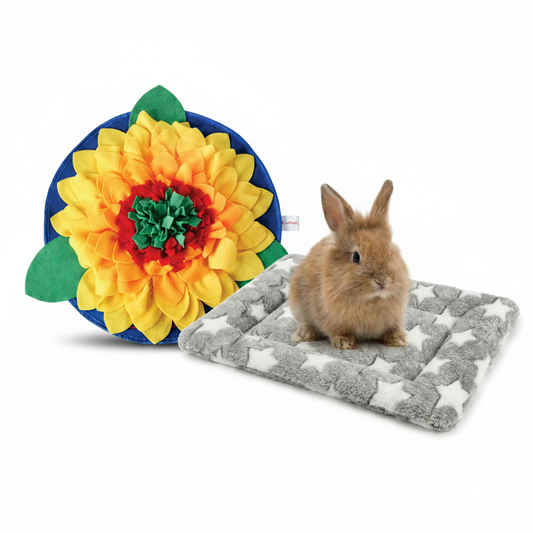 Bundle B - Sunflowerz Mat + Fleece Blanket