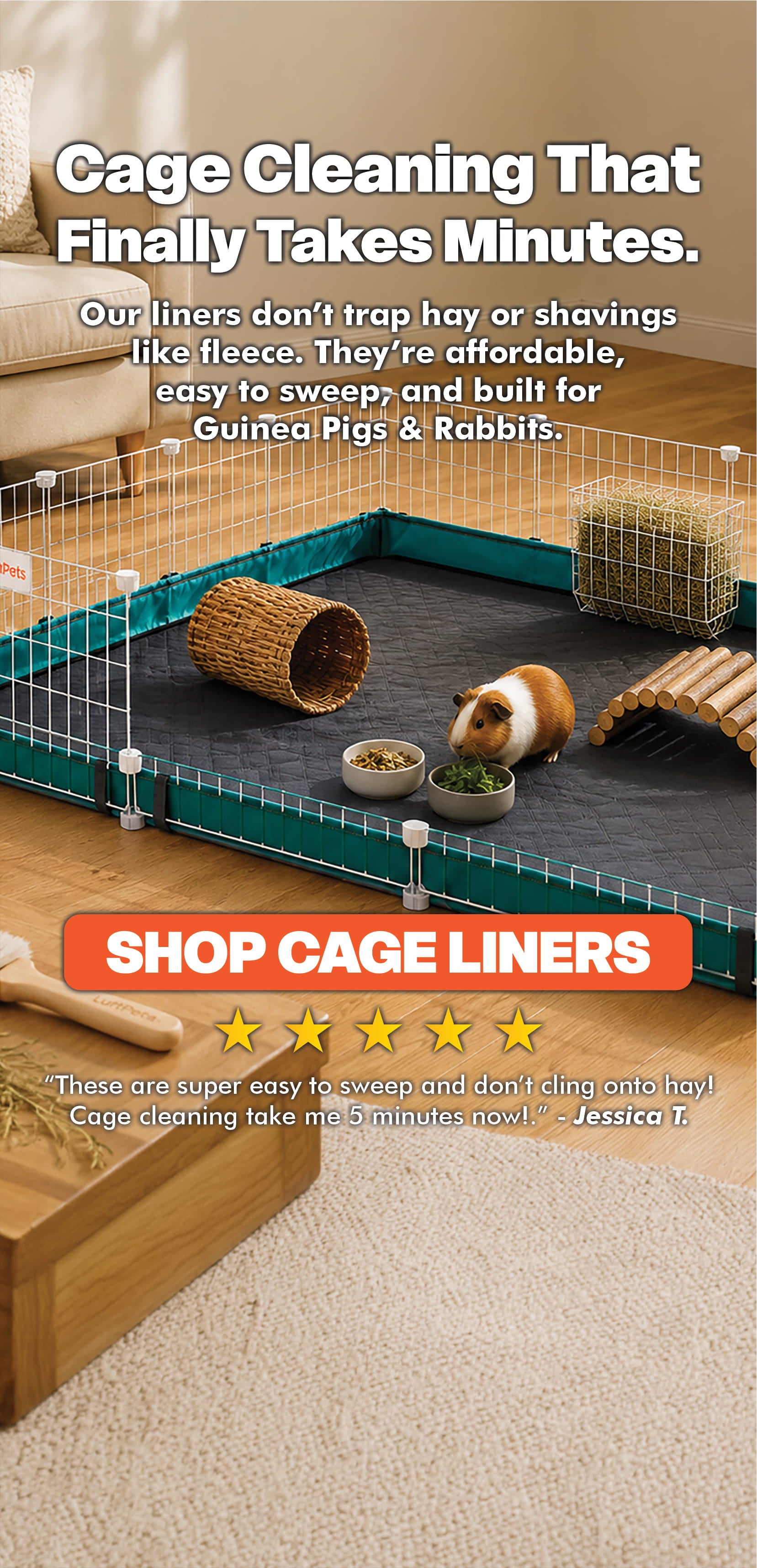 Pet cage with guinea pigs and text about cage cleaning solutions