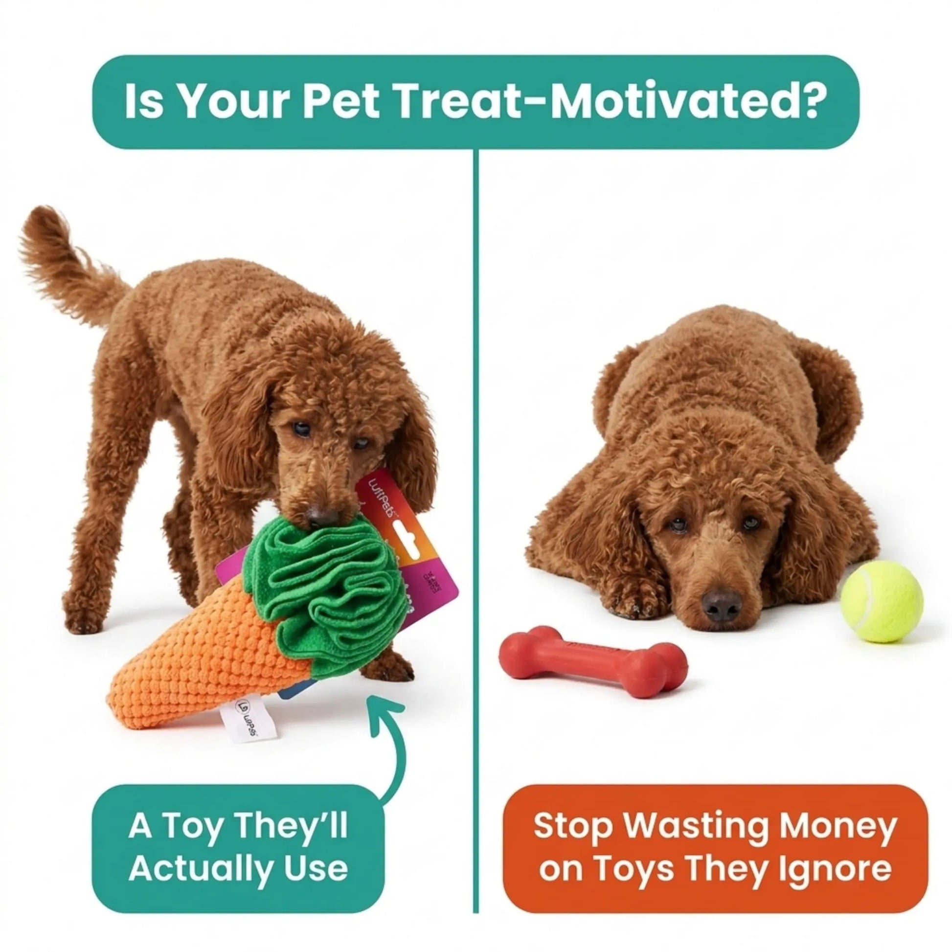 Dog playing with a carrot-shaped toy and a bone-shaped toy, with text about pet treat motivation.