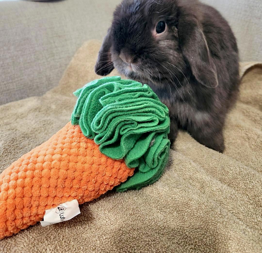 Snuffle Carrotz—Squeaky Sniff Toy for Dogs, Cats, Rabbits, and Small Pets
