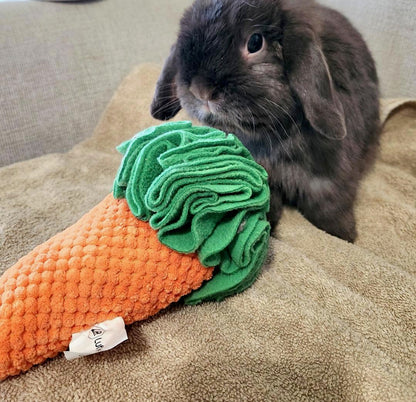Snuffle Carrotz—Squeaky Sniff Toy for Dogs, Cats, Rabbits, and Small Pets