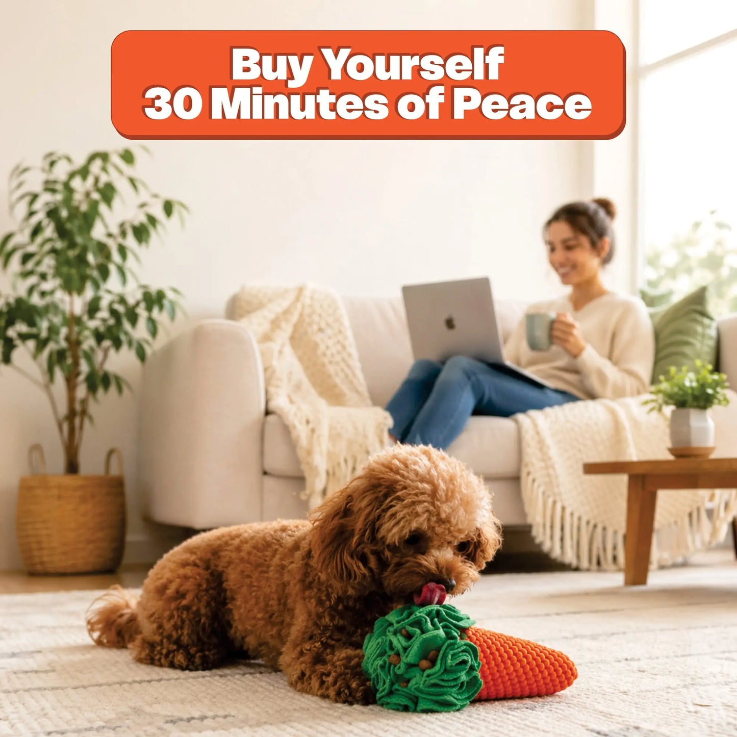 Woman on a couch with a laptop and mug, dog playing with a toy in a cozy living room.