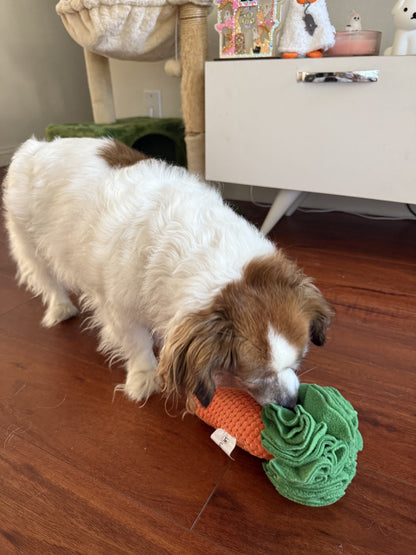 Dog playing with a carrot-shaped toy on a wooden floor.