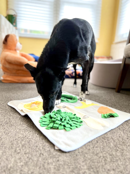 Breakfast Buffet Snuffle Mat for Dogs, Cats, Rabbits & Small Breeds, With Squeaky Egg