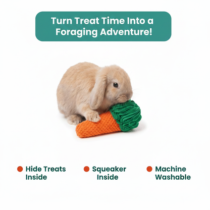 Foraging Adventure