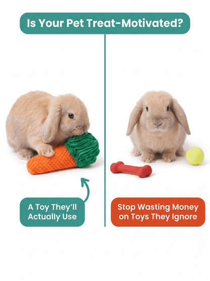 A split comparison graphic for pet toys with a small beige lop-eared rabbit on each side. The left side shows the rabbit chewing an orange-and-green carrot-shaped toy with a teal caption, 'A Toy They'll Actually Use.
