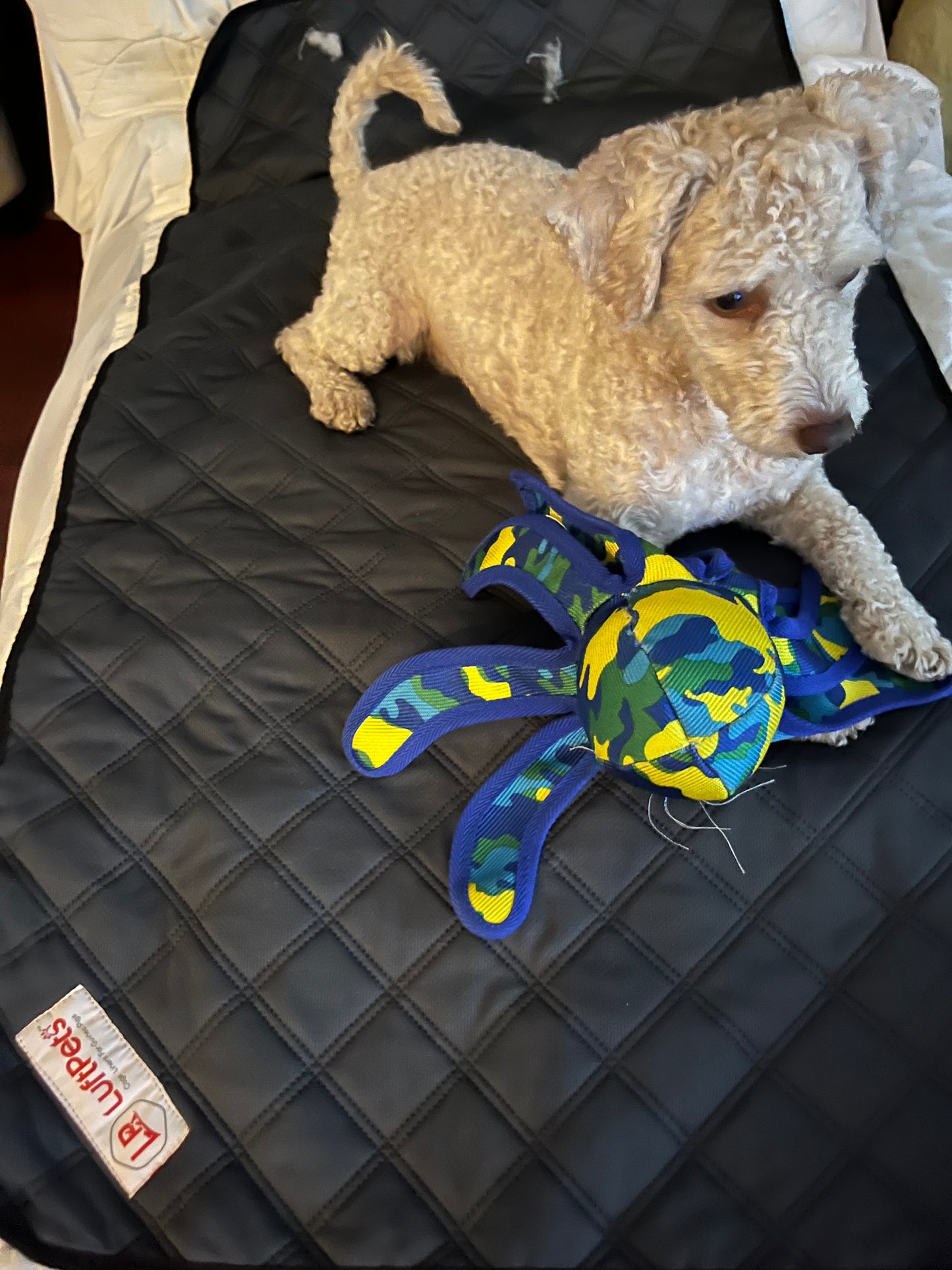 5-Piece Guinea Pig Fleece Bedding & Rabbit Set – Perfect for Dogs & Cats