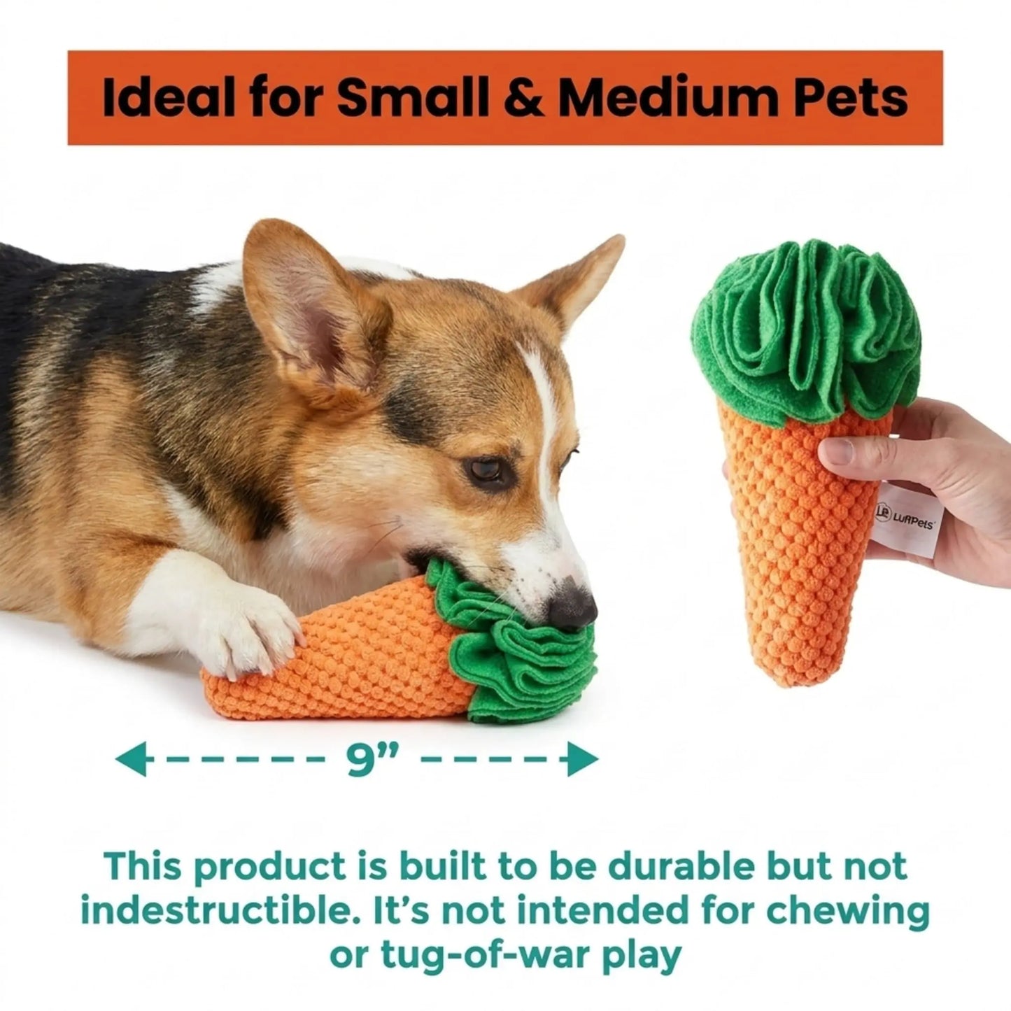 Dog playing with a carrot-shaped toy, with text indicating it's ideal for small and medium pets.