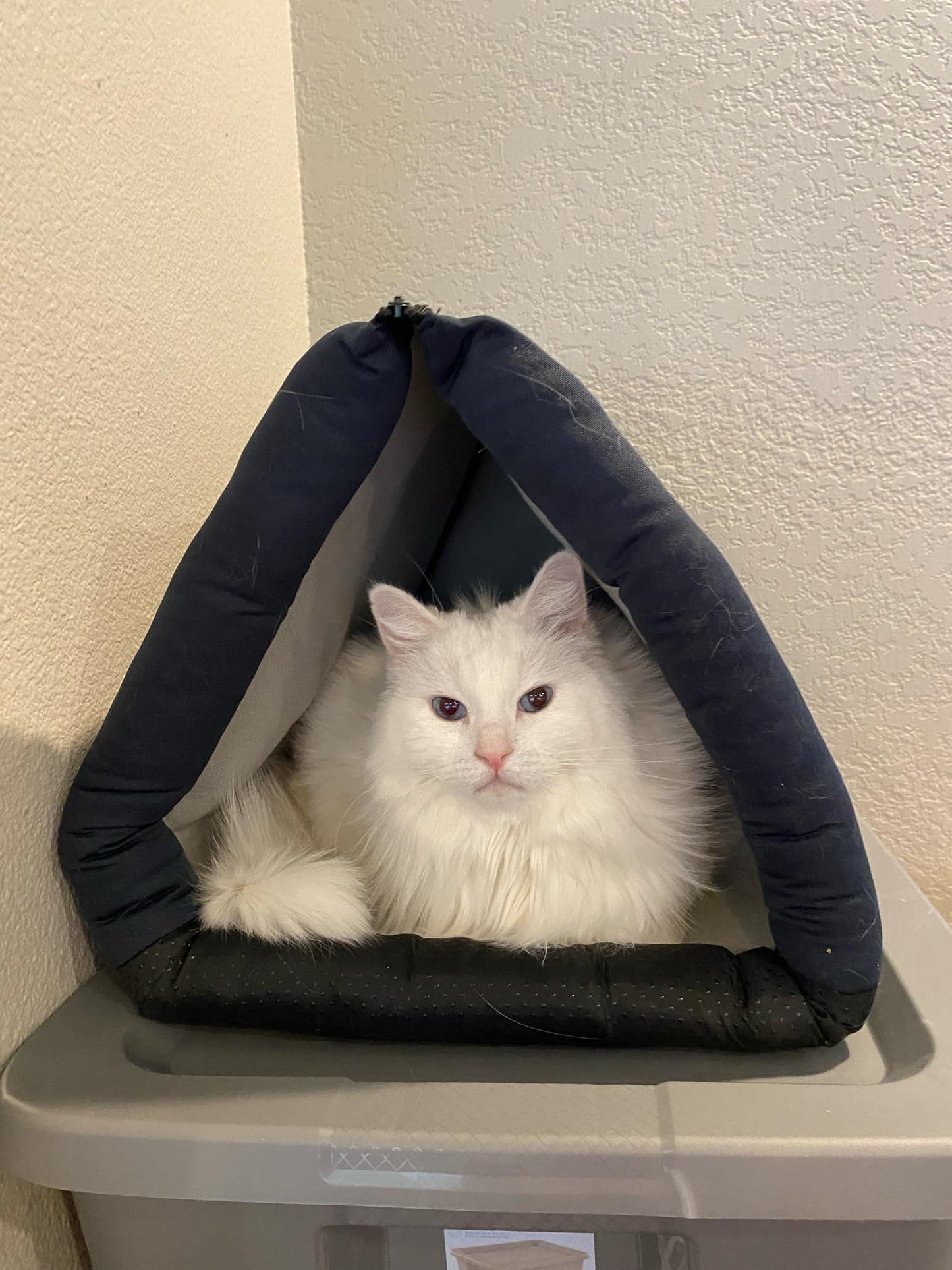 LuftPets 3-in-1 Best Pet Bed: Cat Cove, Tunnel & Cozy Rabbit Bed