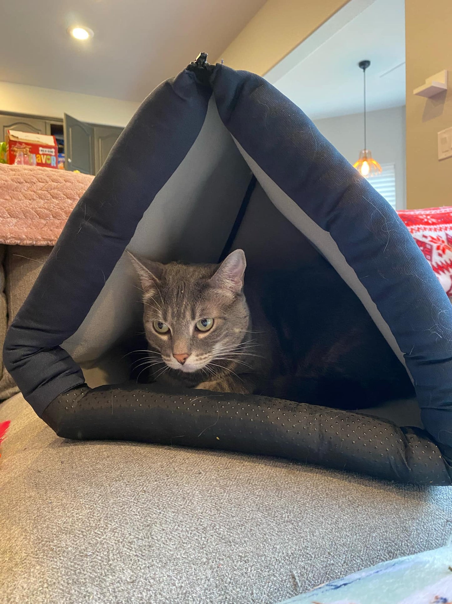 LuftPets 3-in-1 Best Pet Bed: Cat Cove, Tunnel & Cozy Rabbit Bed