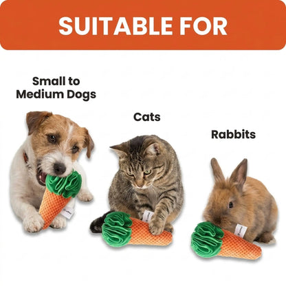 Carrot-shaped toys suitable for small to medium dogs, cats, and rabbits on a white background.