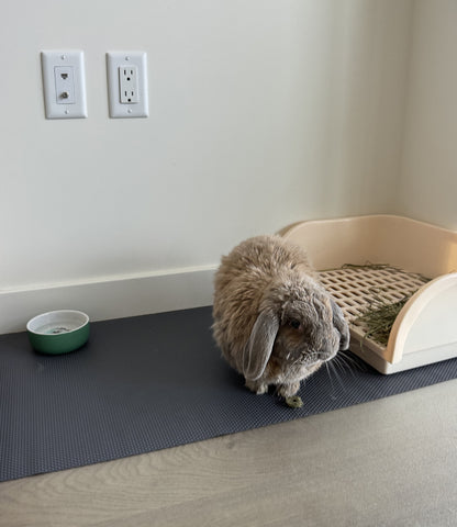 Versatile EVA Cage Liner – Rabbit, Guinea Pig & Reptile Mat, Easily Cut , 18"×79"