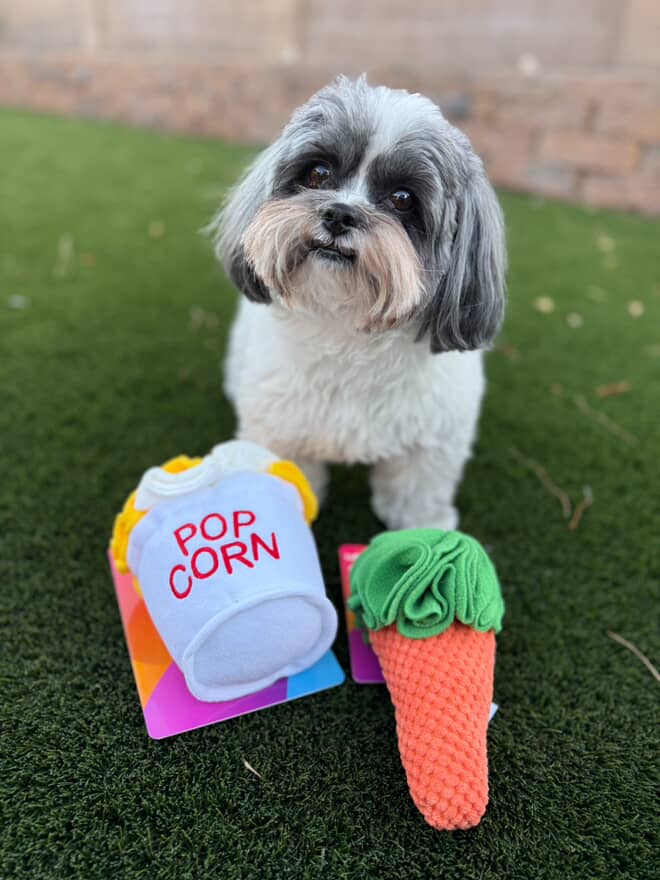 Carrot Sniff Toy - Squeaky & Plush Snuffle Mat for Dogs & Small Pets LUFTPETS