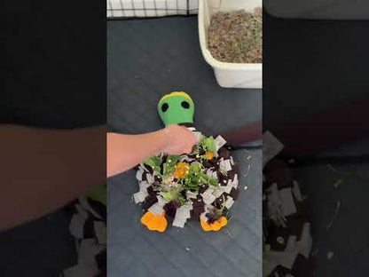 Rabbit Foraging Fun Bundle – Snuffle Mats, Carrot Toy & Free Fleece Blanket