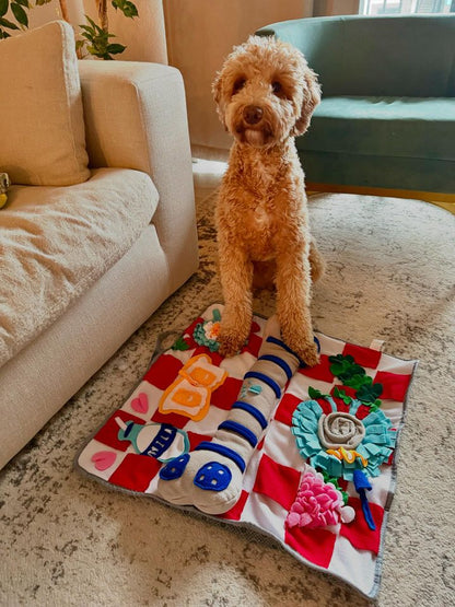 Squeaky Bone Snuffle Mat for Dogs – Interactive Foraging Fun, 24"