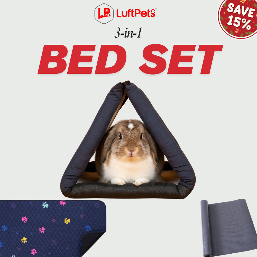 rabbit inside luftpets rabbit bed and liners