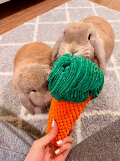 A person holds a crocheted carrot-shaped toy with a green top and orange cone, while two light brown rabbits chew on it on a gray patterned rug.