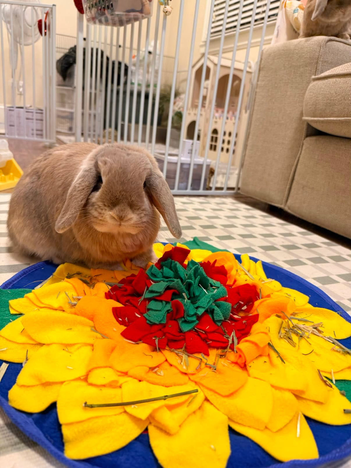 rabbit sunflower snuffle mat bunny sitting