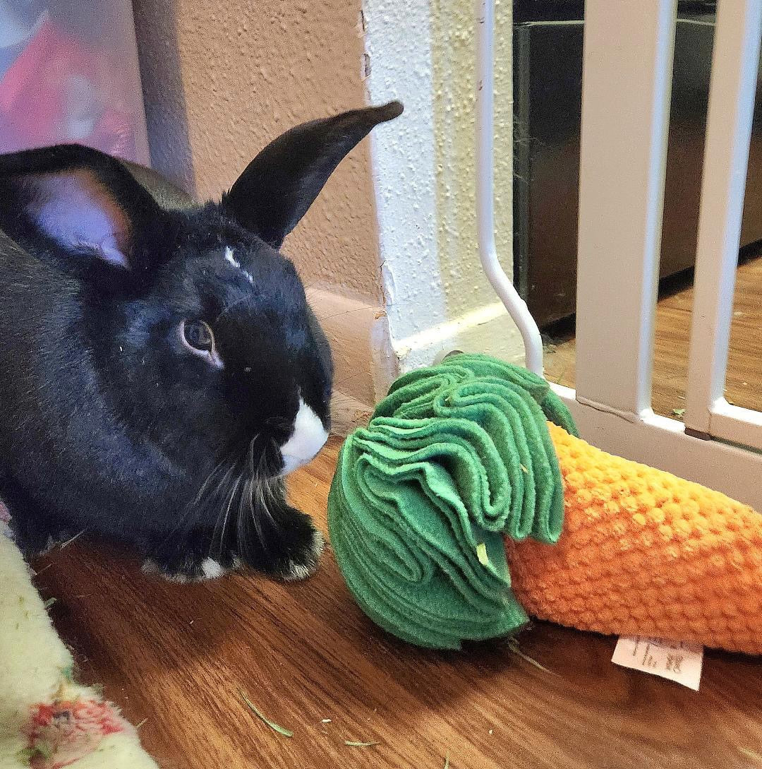 Snuffle Carrotz—Squeaky Sniff Toy for Dogs, Cats, Rabbits, and Small Pets