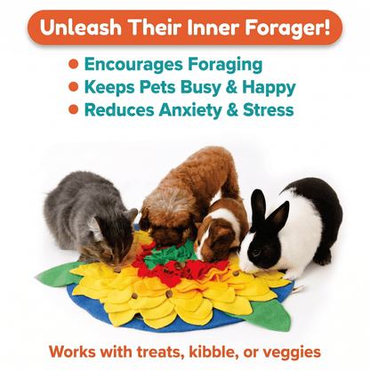 Pet activity mat with cats and a dog on a white background, featuring text about pet behavior benefits.