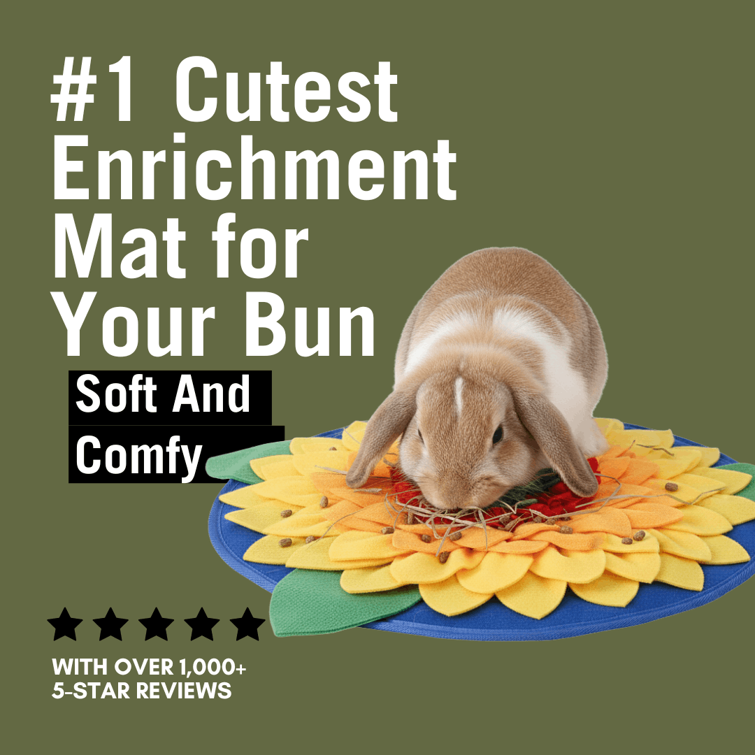 Load video: rabbit snuffle mat and sniff toy for dogs bird shape