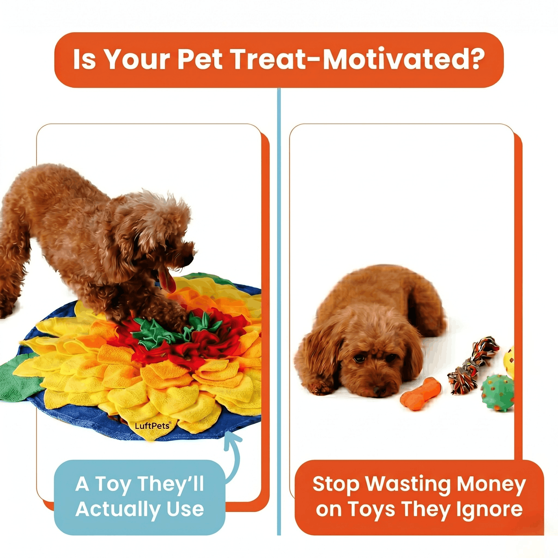 Two images of a dog interacting with a colorful toy and another with toys on a white background, accompanied by text about pet treatment motivation.