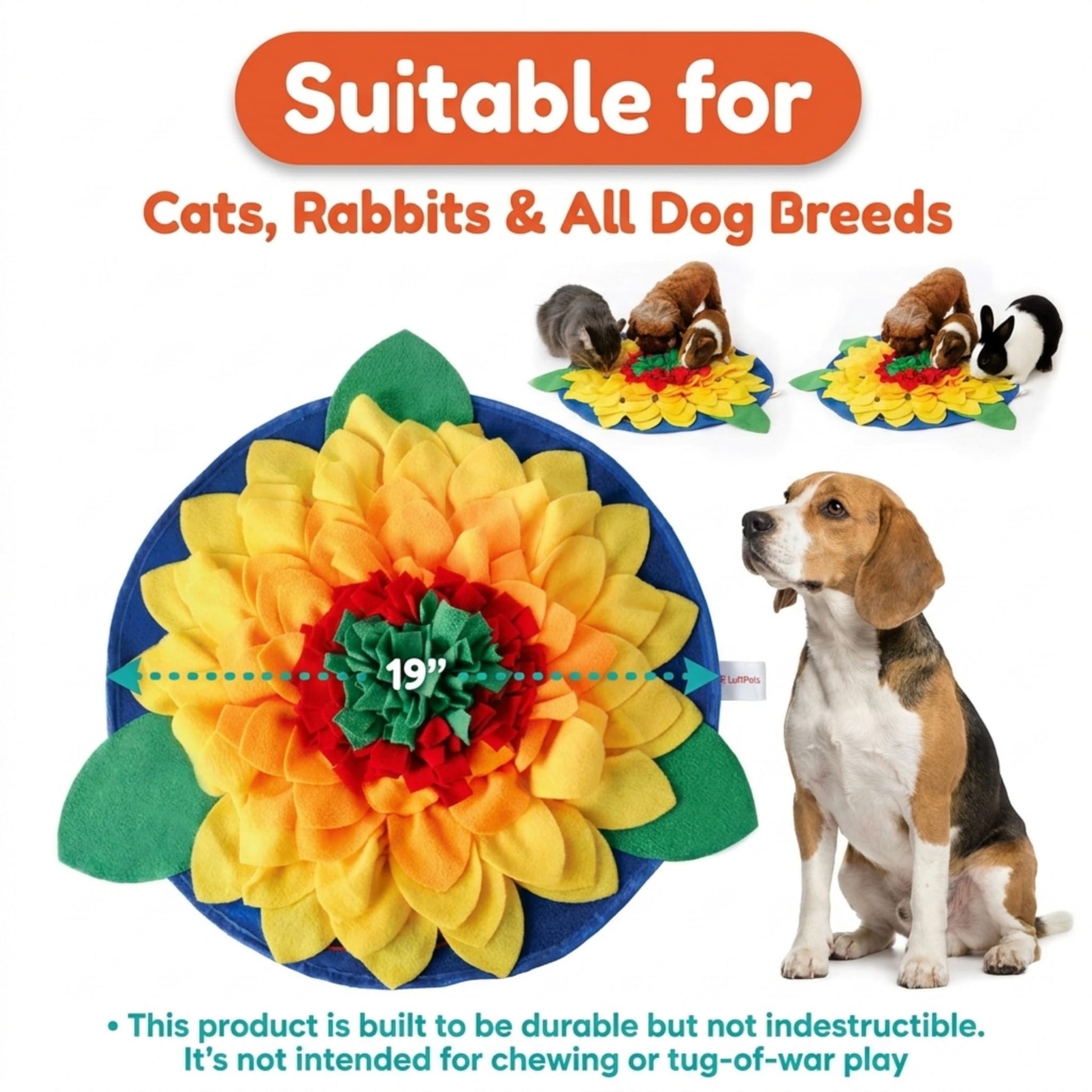Colorful flower-shaped pet toy with a dog sitting next to it, suitable for cats, rabbits, and all dog breeds.