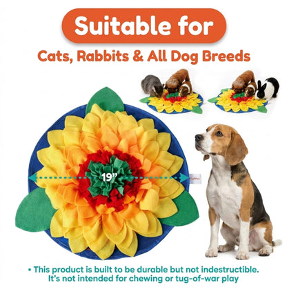 Colorful flower-shaped pet toy with a dog sitting next to it, suitable for cats, rabbits, and all dog breeds.