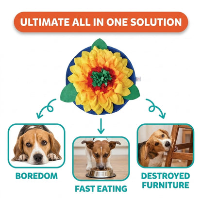 Product solution for dog behavior issues with images of a bored dog, fast eater, and one destroying furniture.