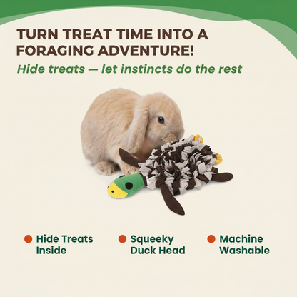 Turn Treat Time Into a Foraging Adventure