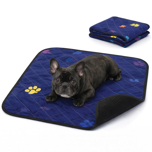 Dog lying on a blue paw-patterned mat with a folded mat in the background