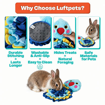 Why Choose Luftpets, rabbit version with Hides Treats caption